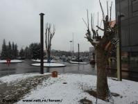 Imagine atasata: Openville - 2017.02.19 - 37.jpg